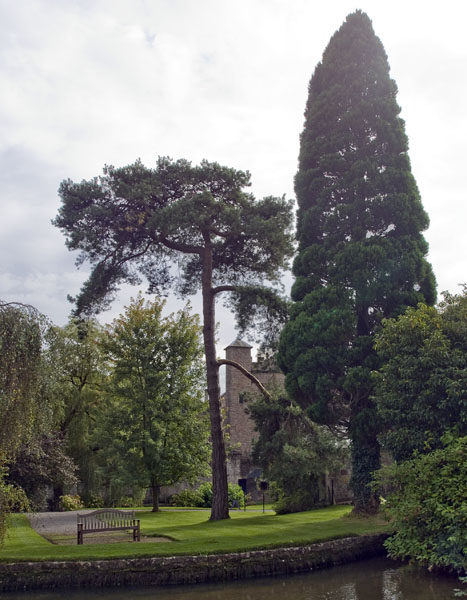Bishops Palace,Bishop's Palace,Gardens,Wells