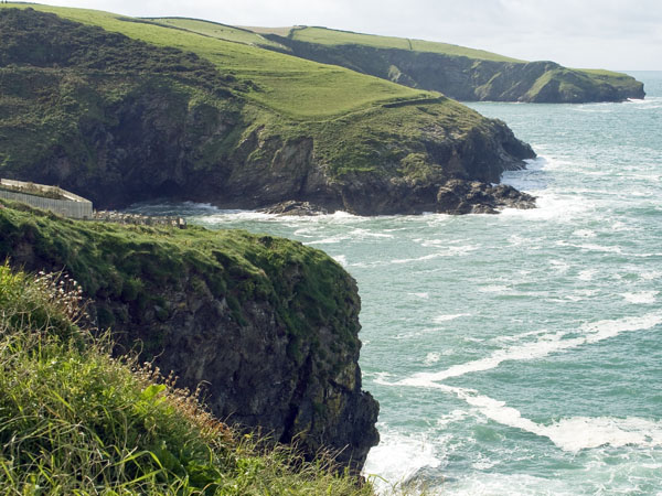Port Isaac,Cliffs