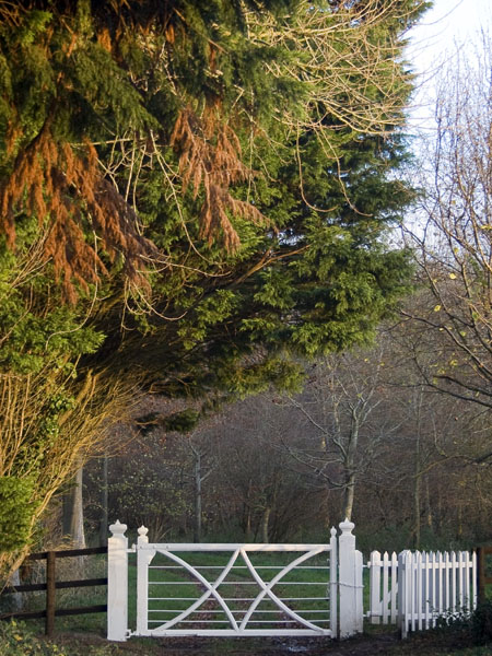 Witchampton,Gate,Gateway,Gatehouse