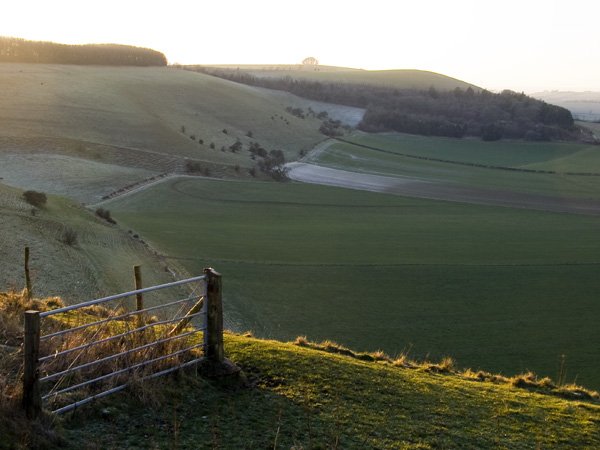 Winkelbury,Winklebury