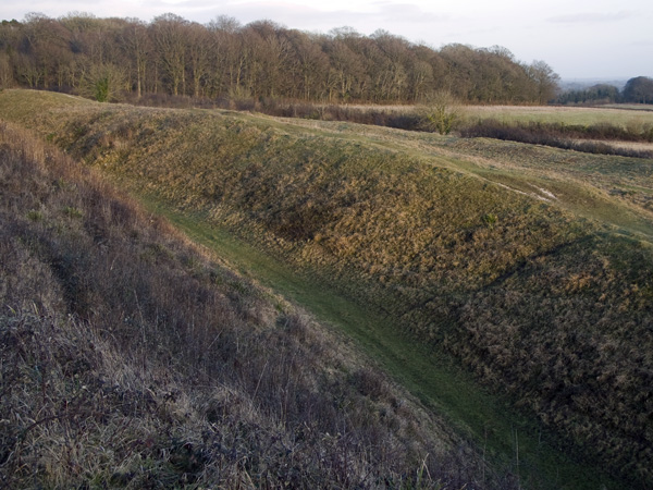 Badbury Rings,Iron Age,Hill Fort,Wimborne