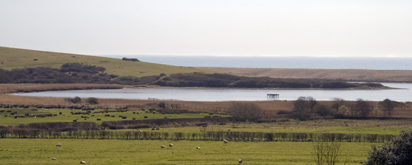 Fleet,Abbotsbury Swannery