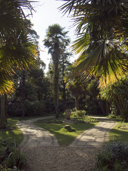 Walled Garden,Sub-tropical,Subtropical Gardens,Abbotsbury