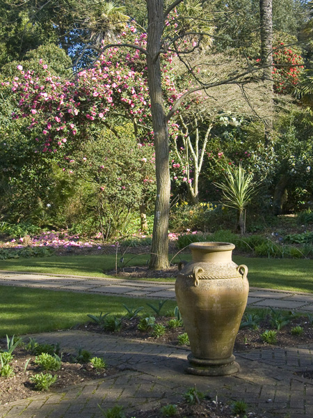 Walled Garden,Sub-tropical,Subtropical Gardens,Abbotsbury