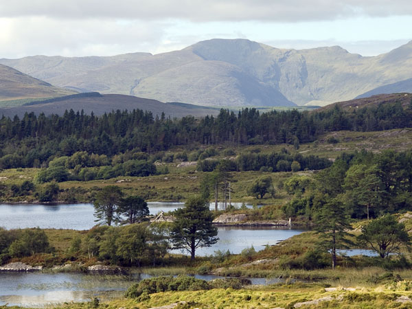 Cloonee Loughs,Lakes,Beara Peninsula