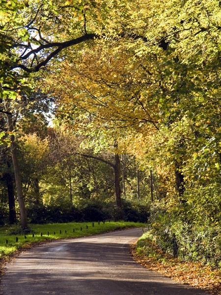 Abbots Street,Pamphill,Kingston Lacy,Wimborne
