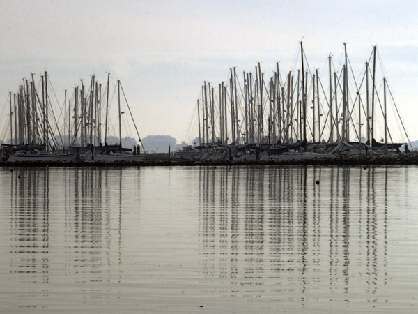 Salterns Marina,Poole Harbour,Masts