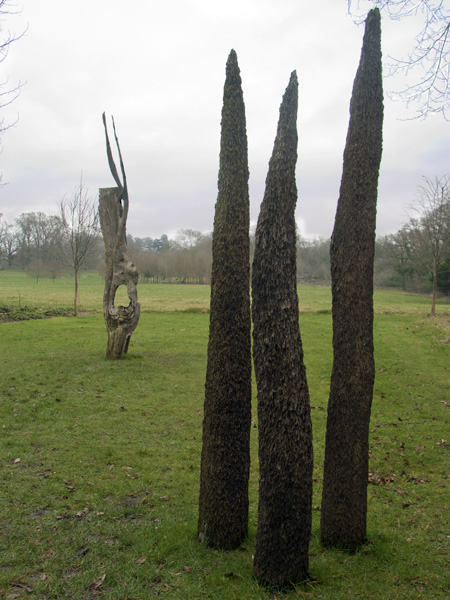 Land,Art,Kingston Lacy,Gardens