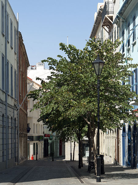 Irish Town,Buildings