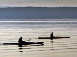 Canoeists, Baiter Point