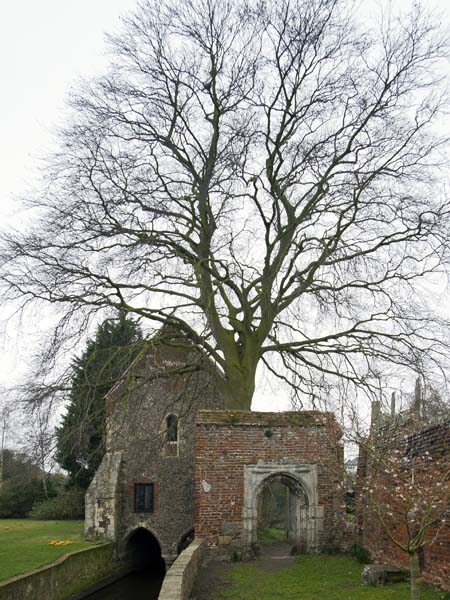 Greyfriars,Canterbury,Chapel