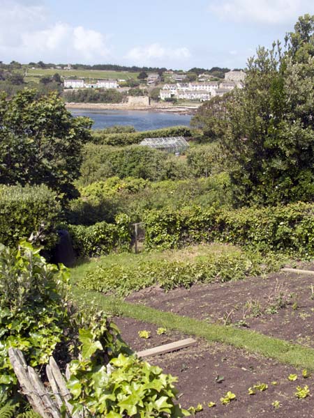 Porthcressa,Allotments,St Mary's