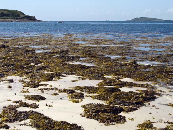 Bar Point,St Mary's