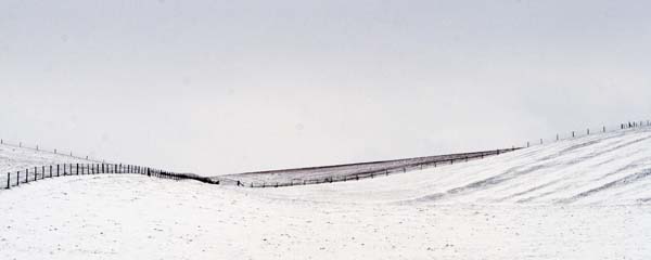 Snow,Winterborne Houghton