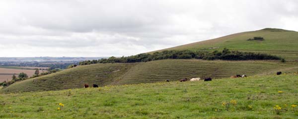 Adams Grave,Alton Barnes,Neolithic,Antiquity,Long Barrow