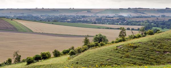 Pewsey Vale,Alton Barnes