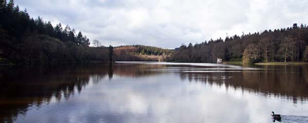 Shearwater,Longleat,Lake,Shear Water