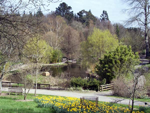 Bog Garden,Sir Harold Hillier Gardens,Romsey