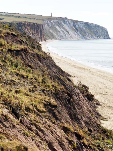 Culver Down,Sea,Cliffs