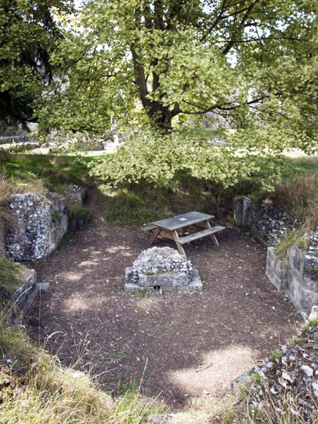 Chapel Crypt,Bishop's Waltham Palace,Ruin,English Heritage