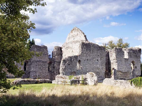South Range,Bishop's Waltham Palace,Ruin,English Heritage