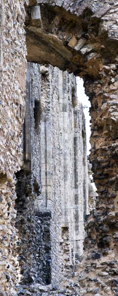 South Range,Bishop's Waltham Palace,Ruin,English Heritage