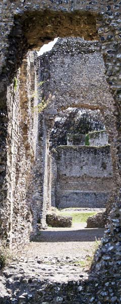 South Range,Bishop's Waltham Palace,Ruin,English Heritage