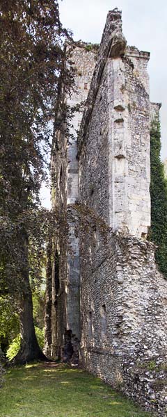 West Tower,Bishop's Waltham Palace,Ruin,English Heritage