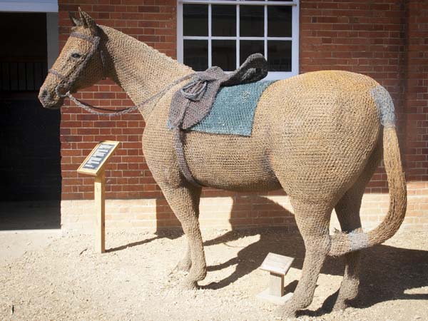 Wire Horse,Mandy Flynn,Mottisfont Abbey,Sculpture