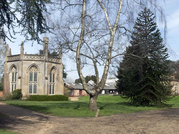 Gothic Library,Staunton Country Park