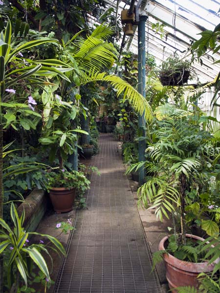 Glasshouses,Staunton Country Park