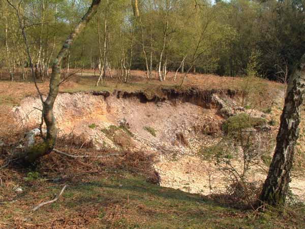 Gorley Common,Quarry