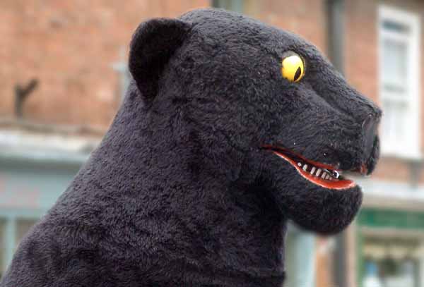 Wimborne Folk Festival,Procession,Panther,Hobby Horse