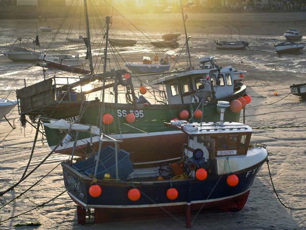 St Ives,Harbour,Fish,Fishing Boats