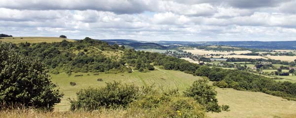 Beacon Hill,Harting Down