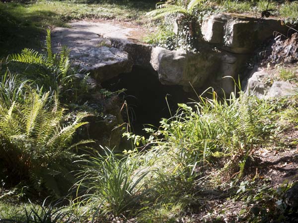 Grotto,Holly Hill Woodland Park