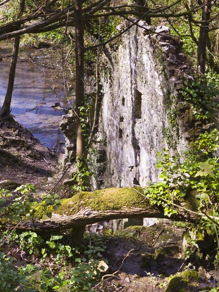 Blaen-y-cwm,Corn Mill,Cwm Nash,Monknash