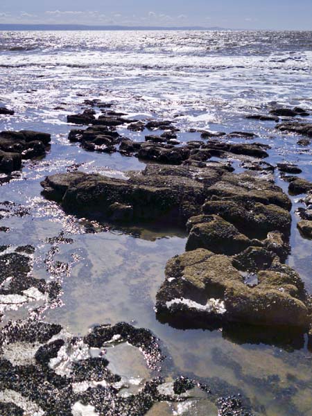 Cwm Nash,Rocks,Monknash