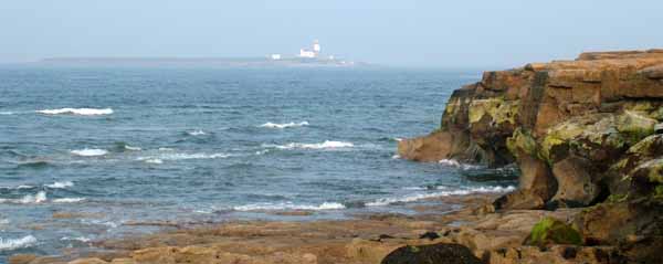 Amble,Coquet Island,Rocks