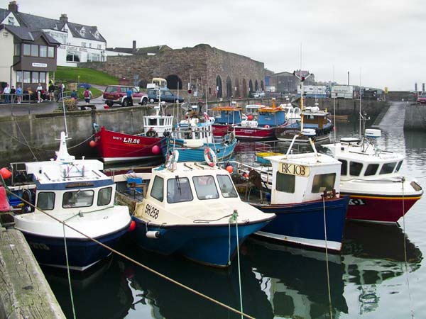 Seahouses Harbour,Fishes,Fishing Boats