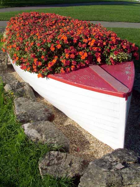 Lymington,Flowers,Boat