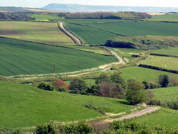 Abbotsbury,Chesters Hill,Road