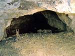 A Pit in the Tar Tunnel