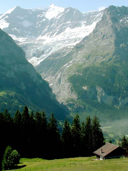 First,Lower Grindlewald Glacier,Unterer Grindlewald Gletscher