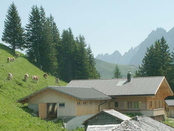 First,Farm