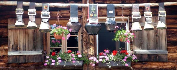 Winteregg,Cow,Bells