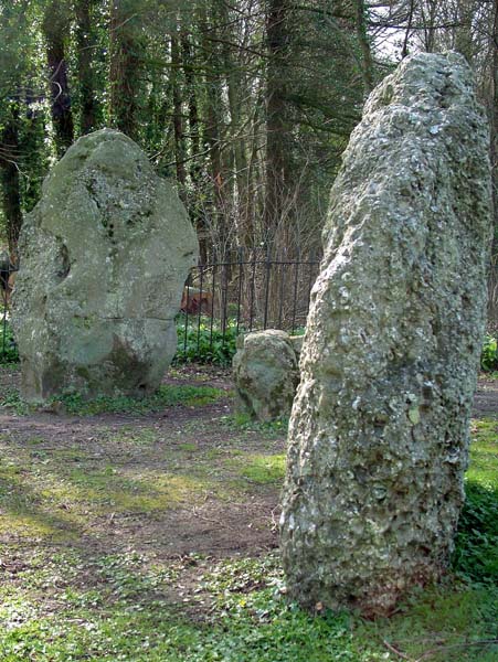 Winterbourne Abbas,Nine Stones,Stone Circle,Antiquity