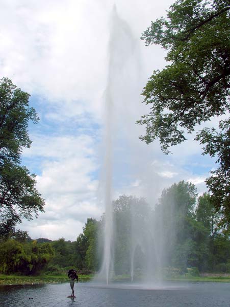 Forde Abbey,Fountain