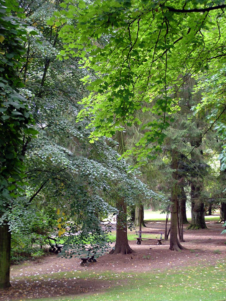 Brussels,Bruxelles,Heysel Park,Trees