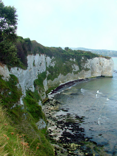 Studland,Purbeck